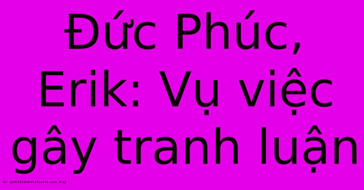 Đức Phúc, Erik: Vụ Việc Gây Tranh Luận