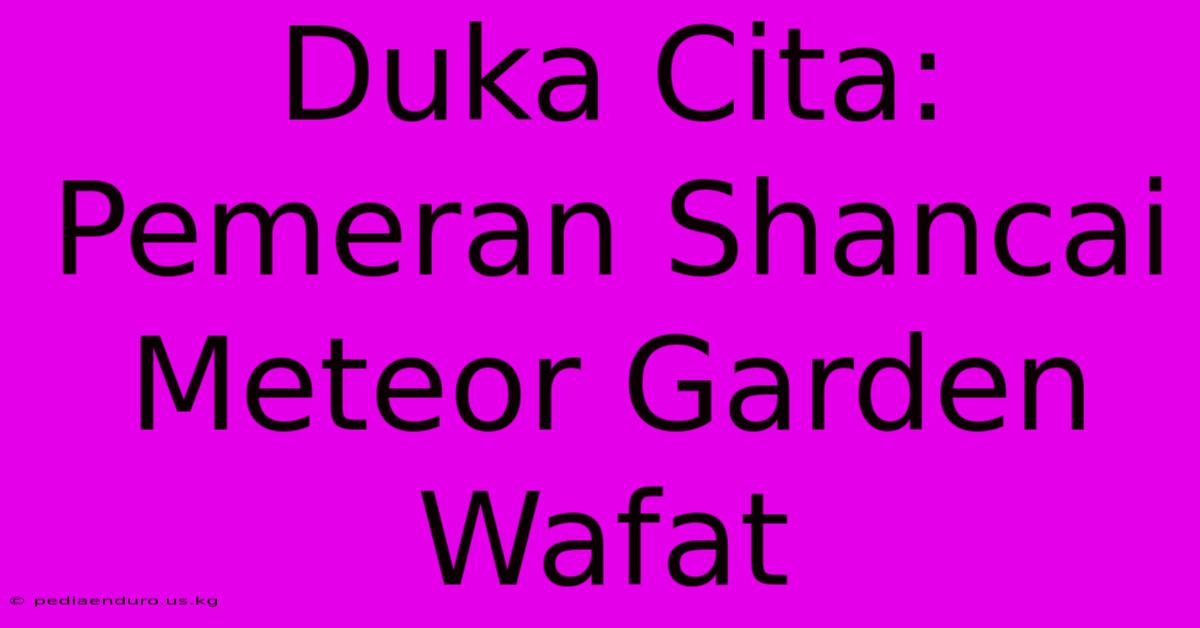 Duka Cita: Pemeran Shancai Meteor Garden Wafat