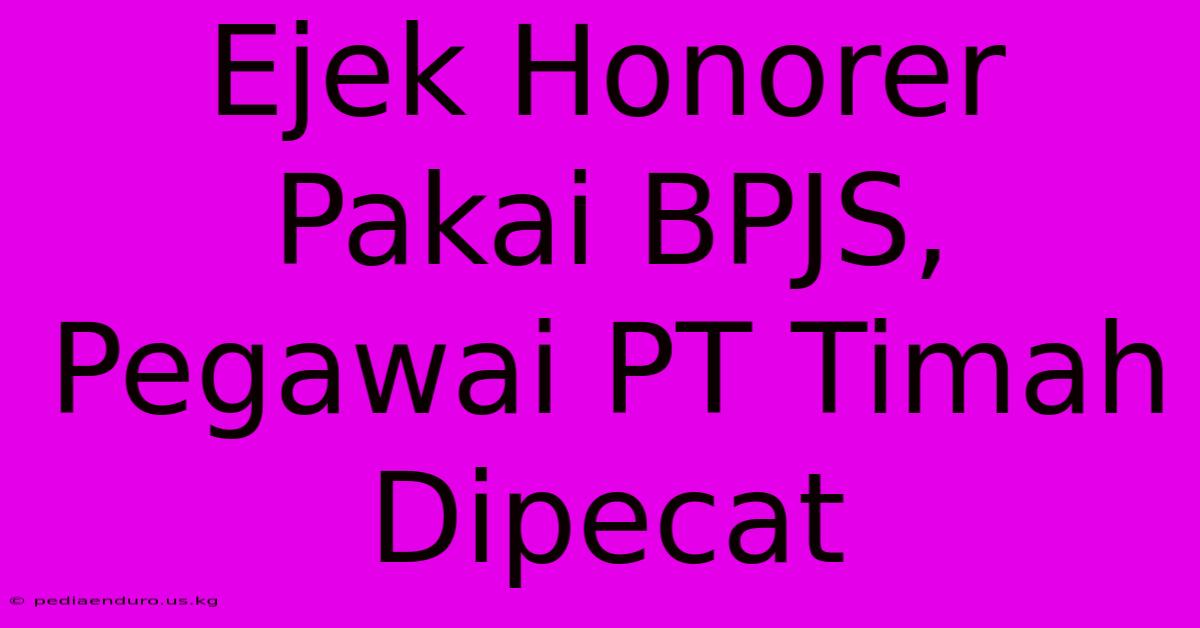 Ejek Honorer Pakai BPJS, Pegawai PT Timah Dipecat