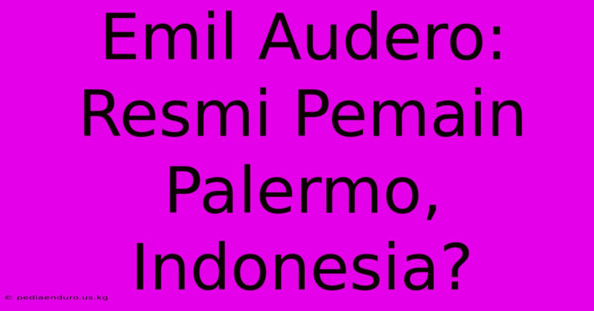 Emil Audero: Resmi Pemain Palermo, Indonesia?