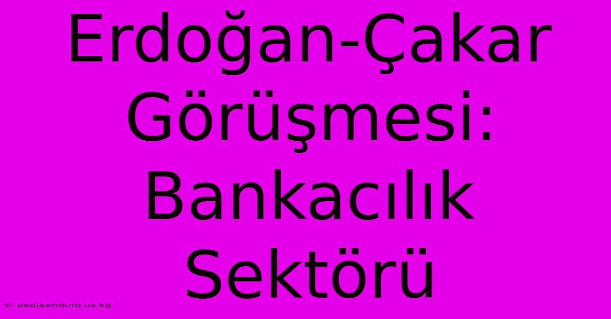 Erdoğan-Çakar Görüşmesi: Bankacılık Sektörü