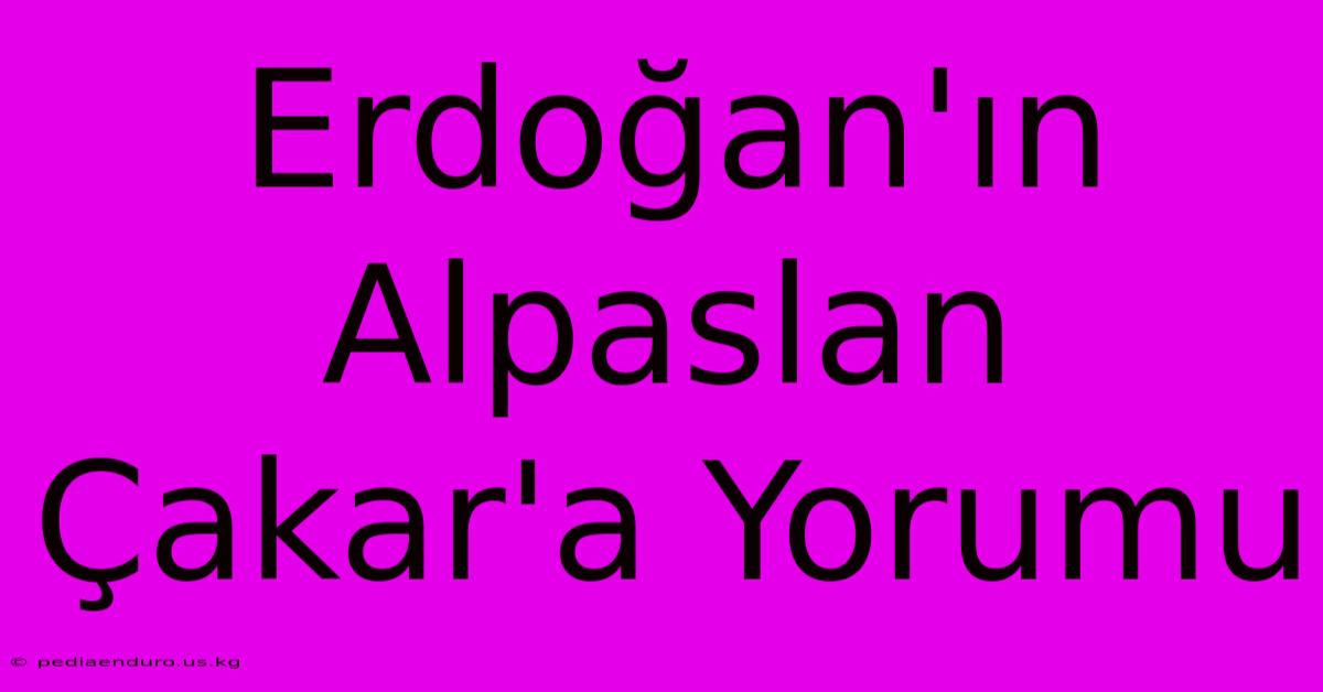 Erdoğan'ın Alpaslan Çakar'a Yorumu