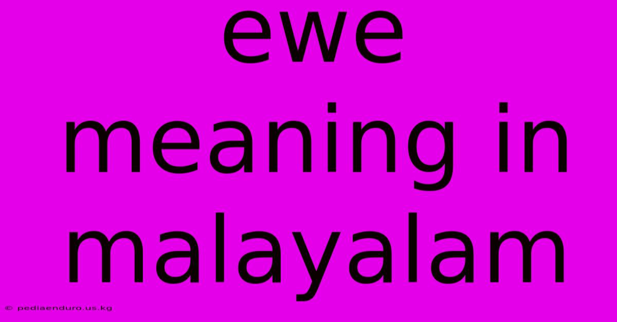 Ewe Meaning In Malayalam