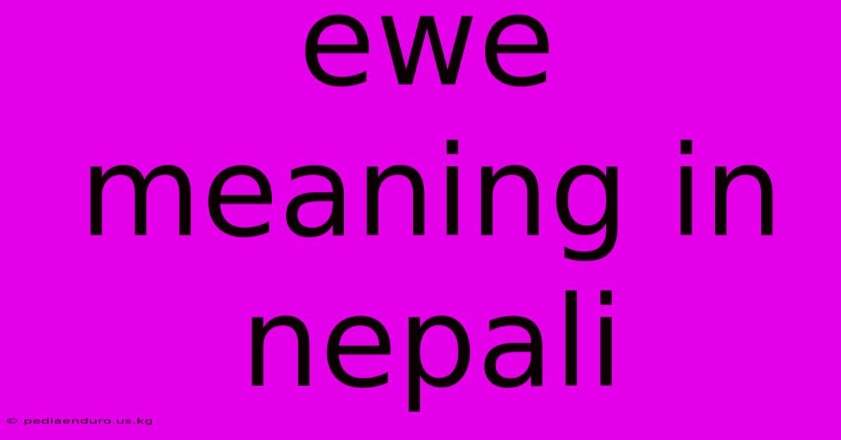 Ewe Meaning In Nepali