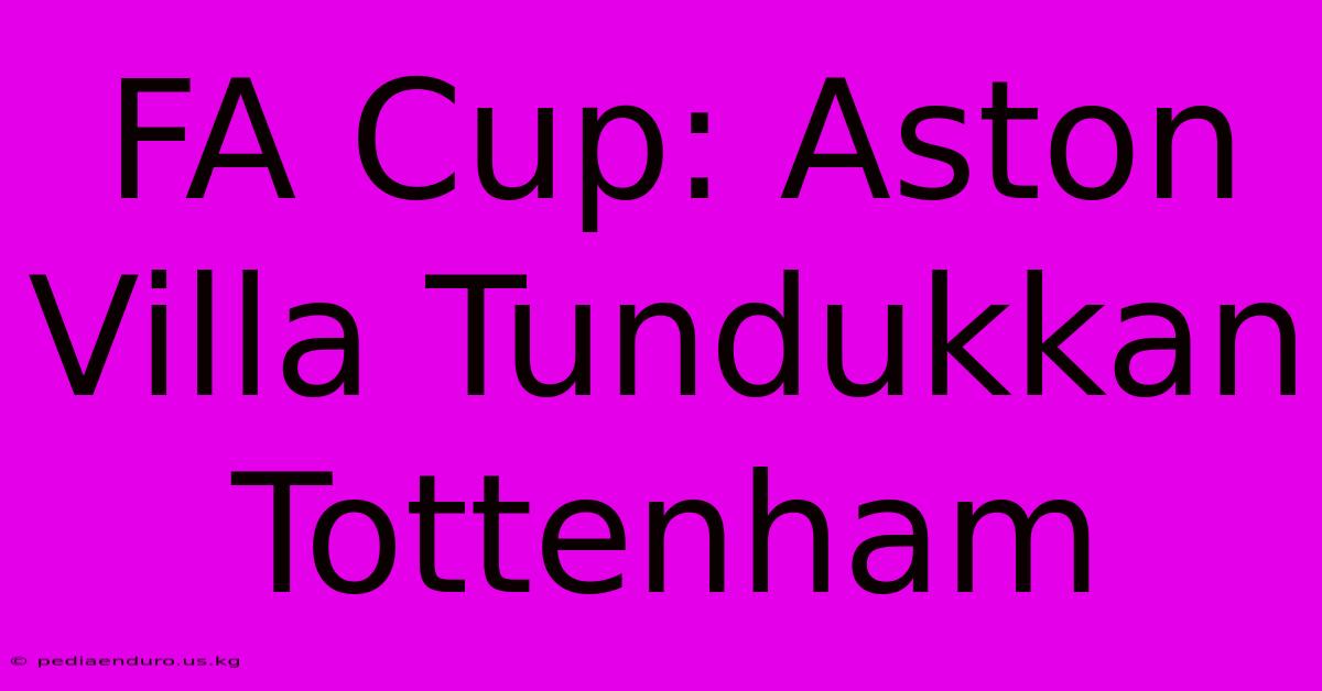 FA Cup: Aston Villa Tundukkan Tottenham