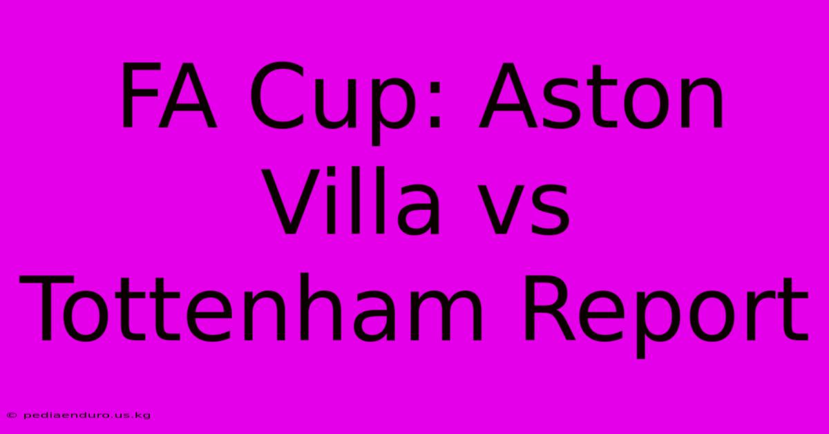 FA Cup: Aston Villa Vs Tottenham Report