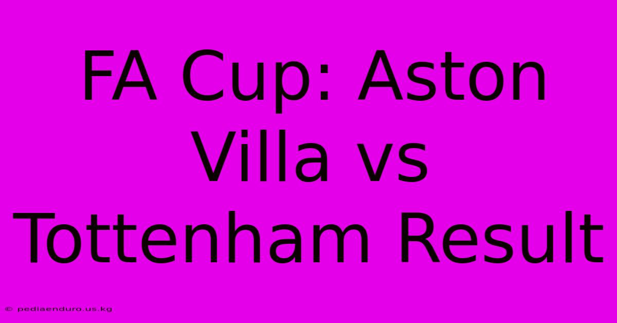 FA Cup: Aston Villa Vs Tottenham Result