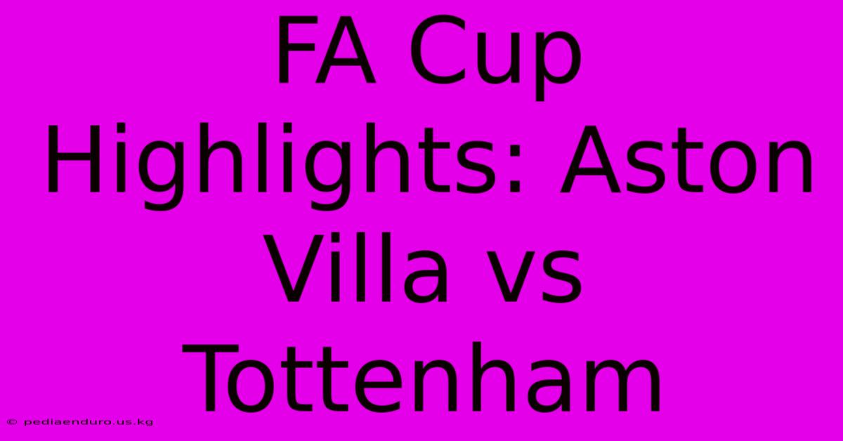 FA Cup Highlights: Aston Villa Vs Tottenham