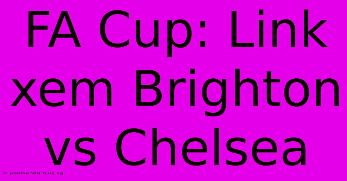 FA Cup: Link Xem Brighton Vs Chelsea