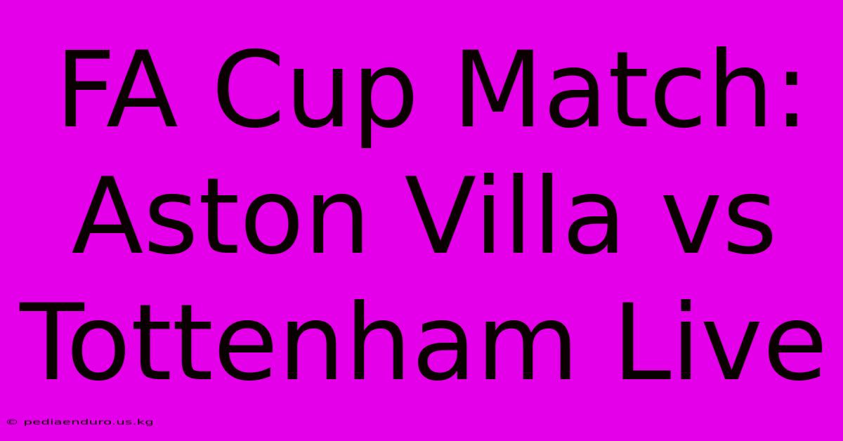 FA Cup Match: Aston Villa Vs Tottenham Live