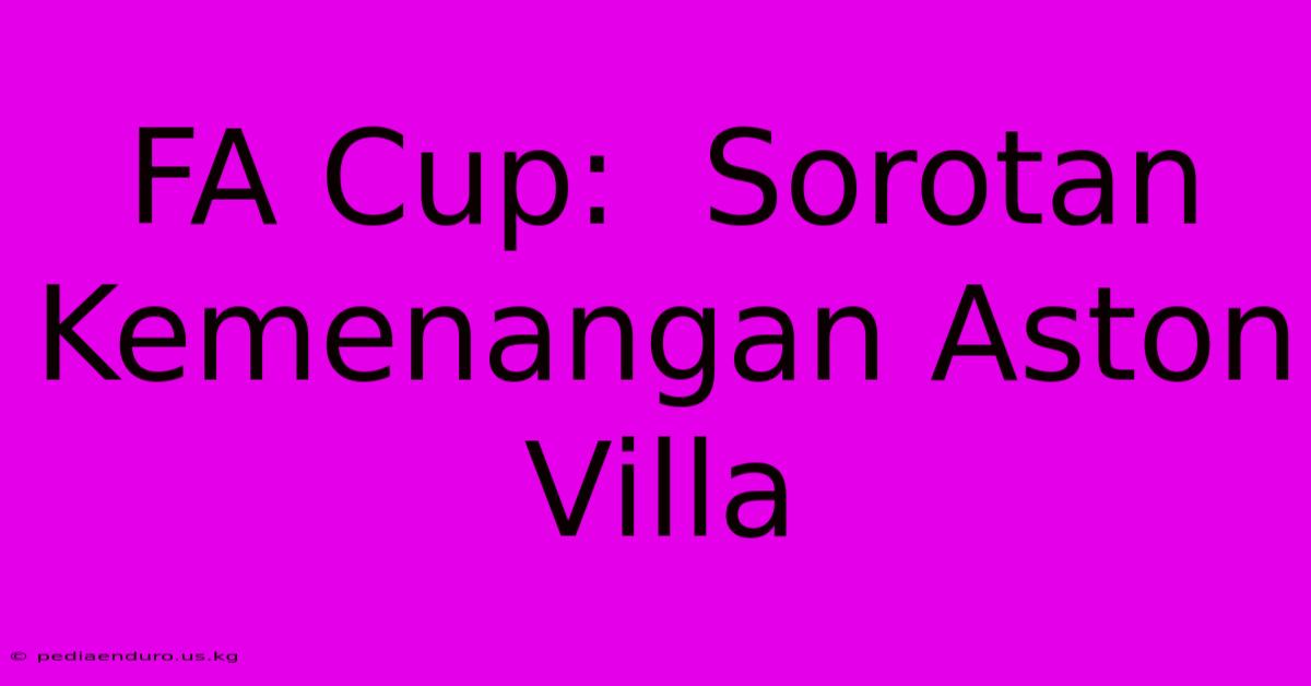 FA Cup:  Sorotan Kemenangan Aston Villa