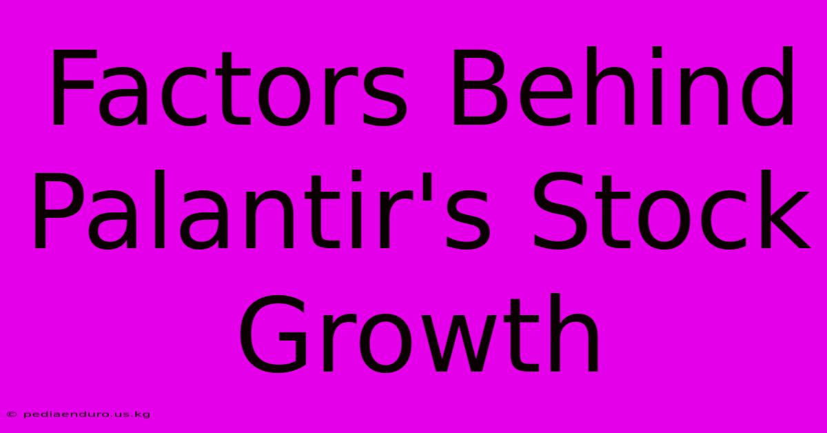 Factors Behind Palantir's Stock Growth