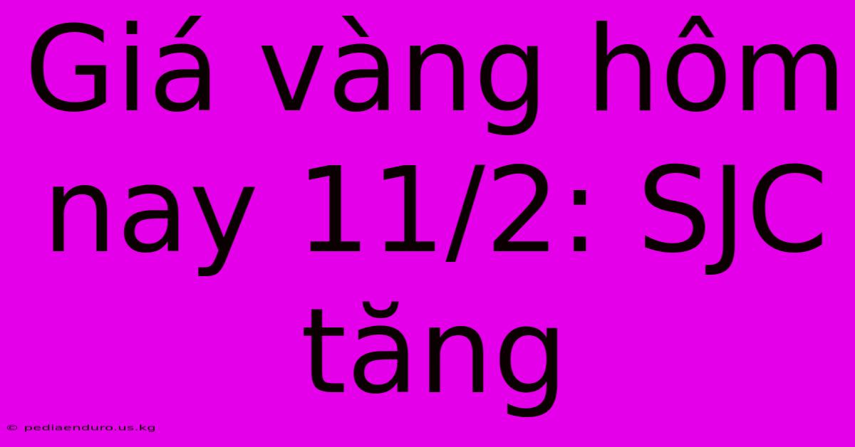 Giá Vàng Hôm Nay 11/2: SJC Tăng