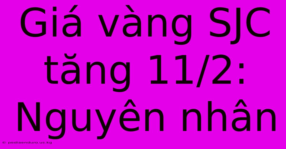 Giá Vàng SJC Tăng 11/2: Nguyên Nhân