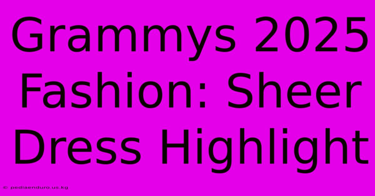 Grammys 2025 Fashion: Sheer Dress Highlight