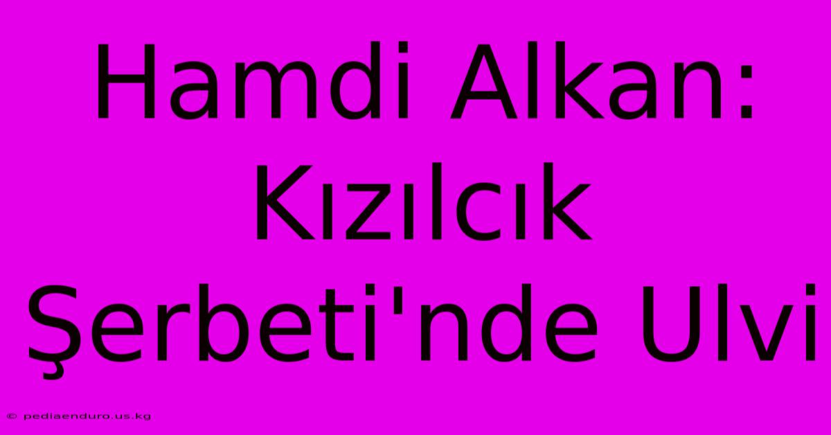 Hamdi Alkan: Kızılcık Şerbeti'nde Ulvi