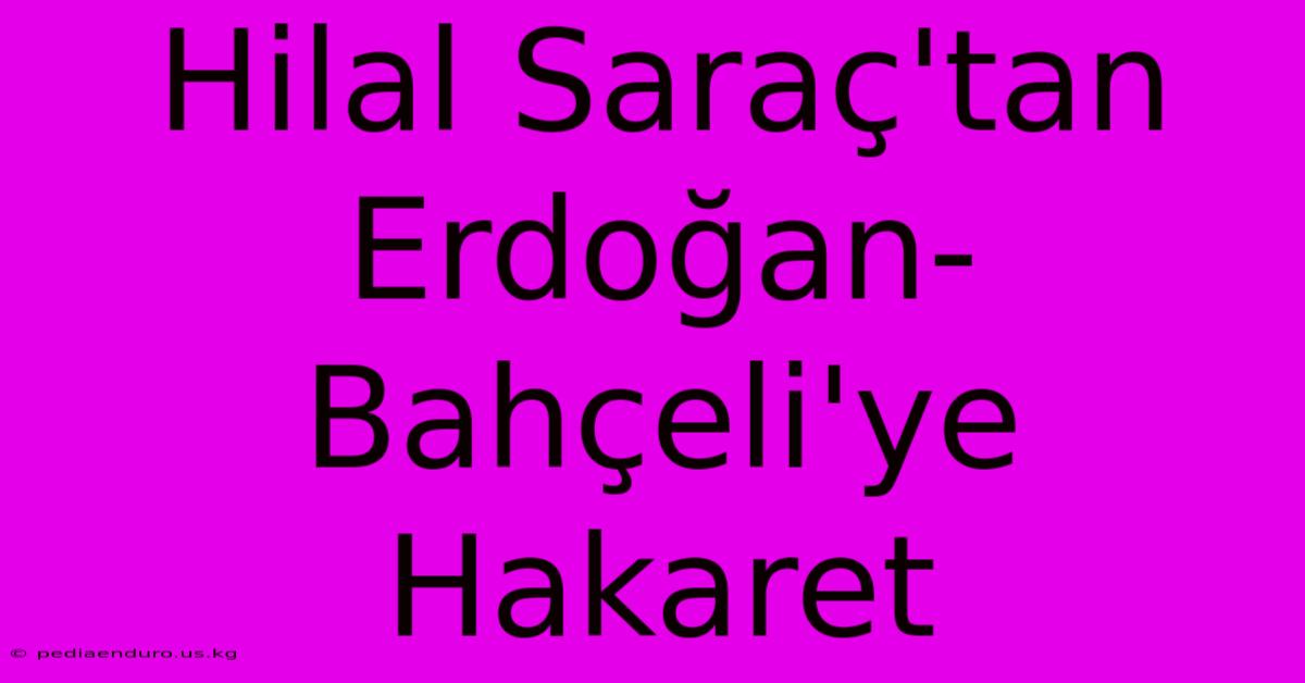 Hilal Saraç'tan Erdoğan-Bahçeli'ye Hakaret