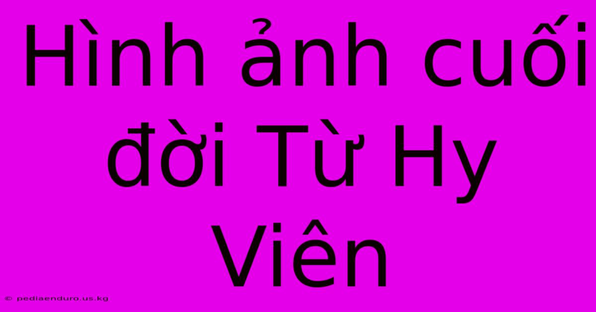 Hình Ảnh Cuối Đời Từ Hy Viên