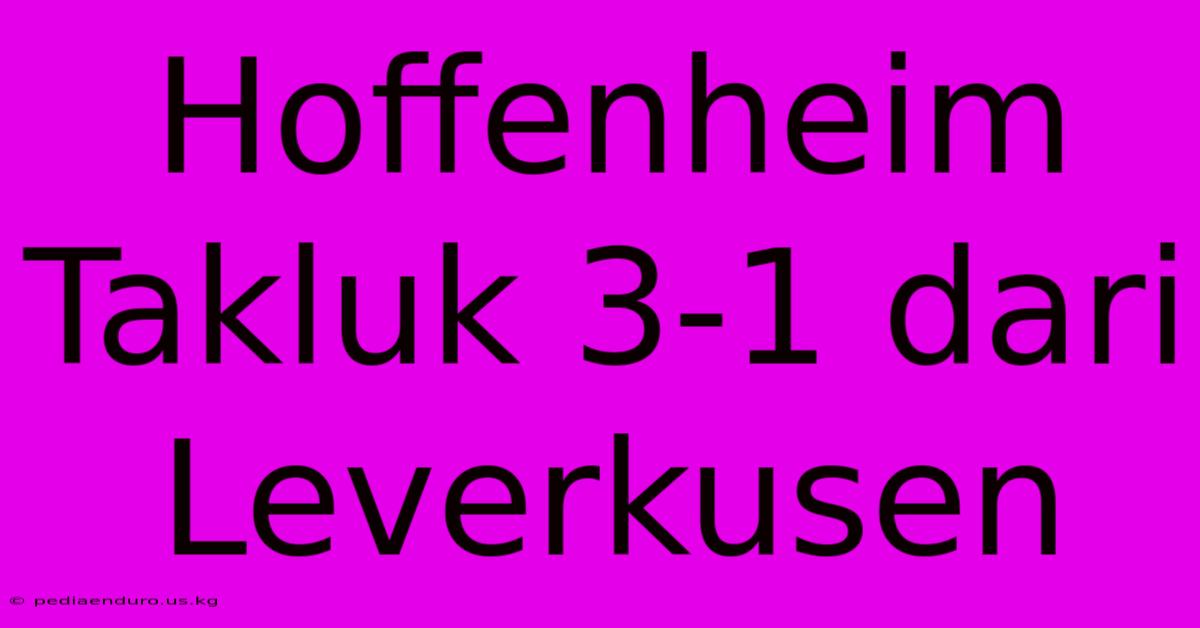 Hoffenheim Takluk 3-1 Dari Leverkusen