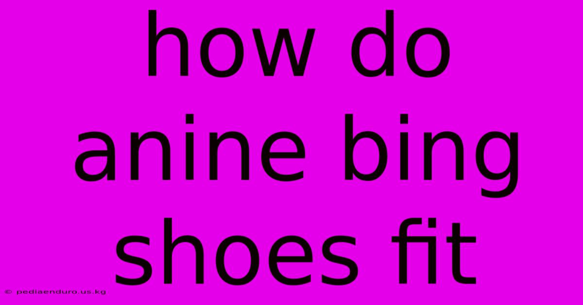 How Do Anine Bing Shoes Fit