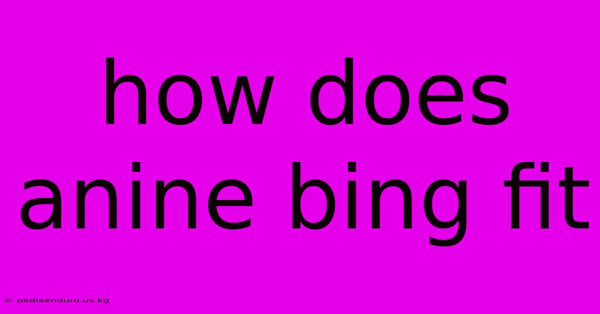 How Does Anine Bing Fit