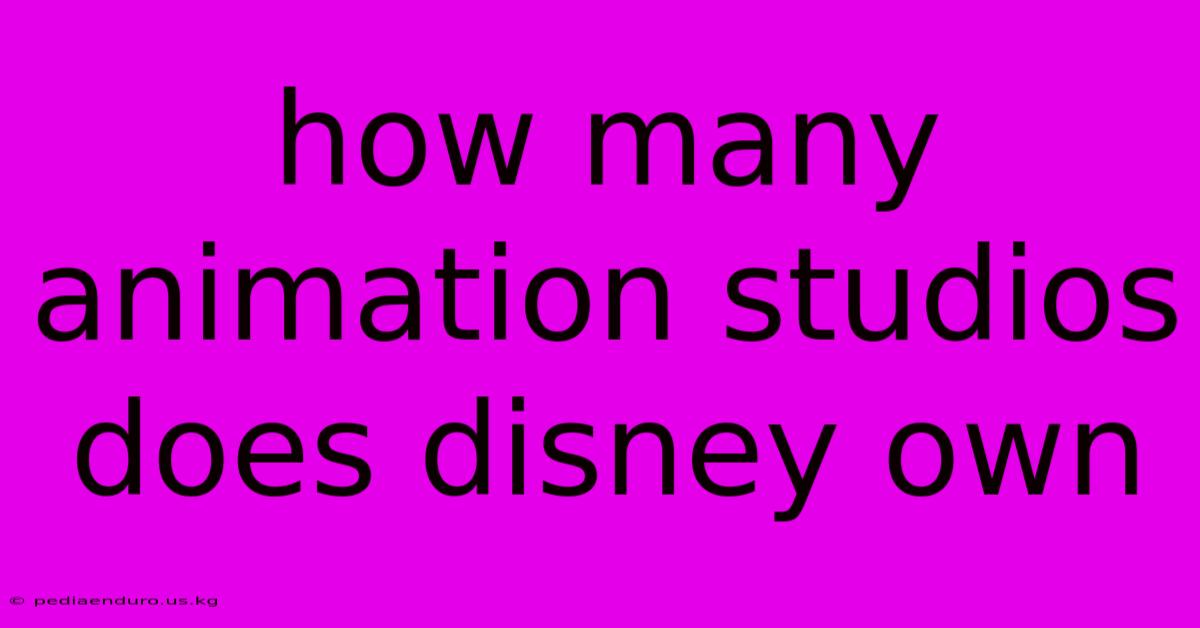 How Many Animation Studios Does Disney Own