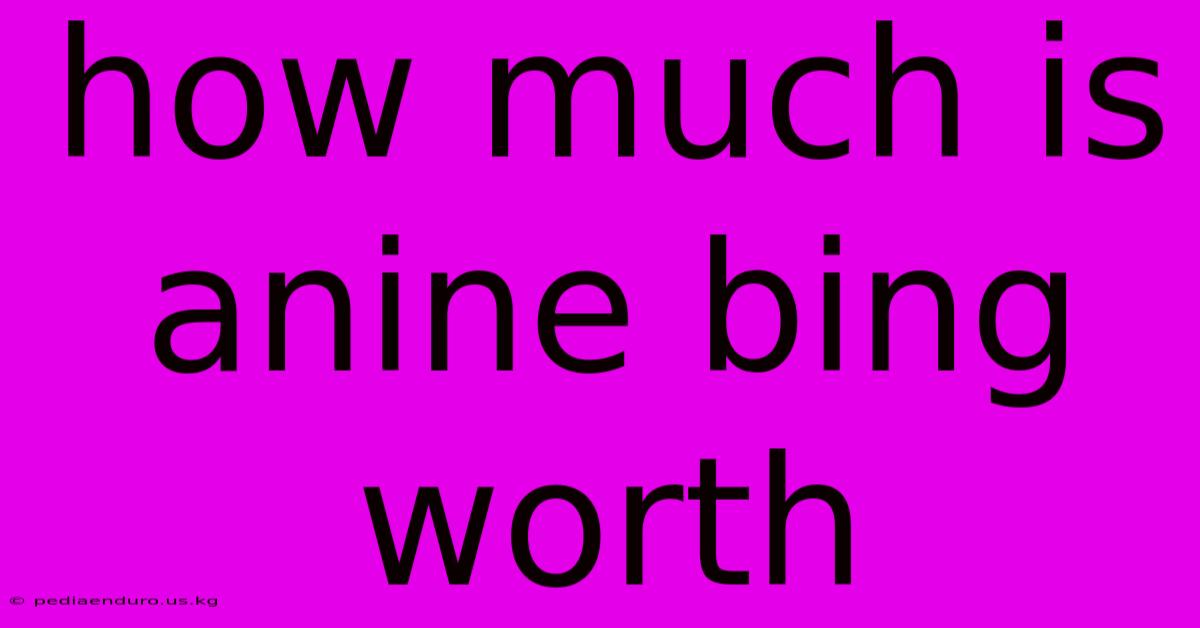 How Much Is Anine Bing Worth