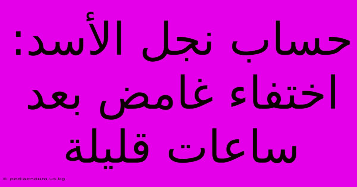 حساب نجل الأسد: اختفاء غامض بعد ساعات قليلة