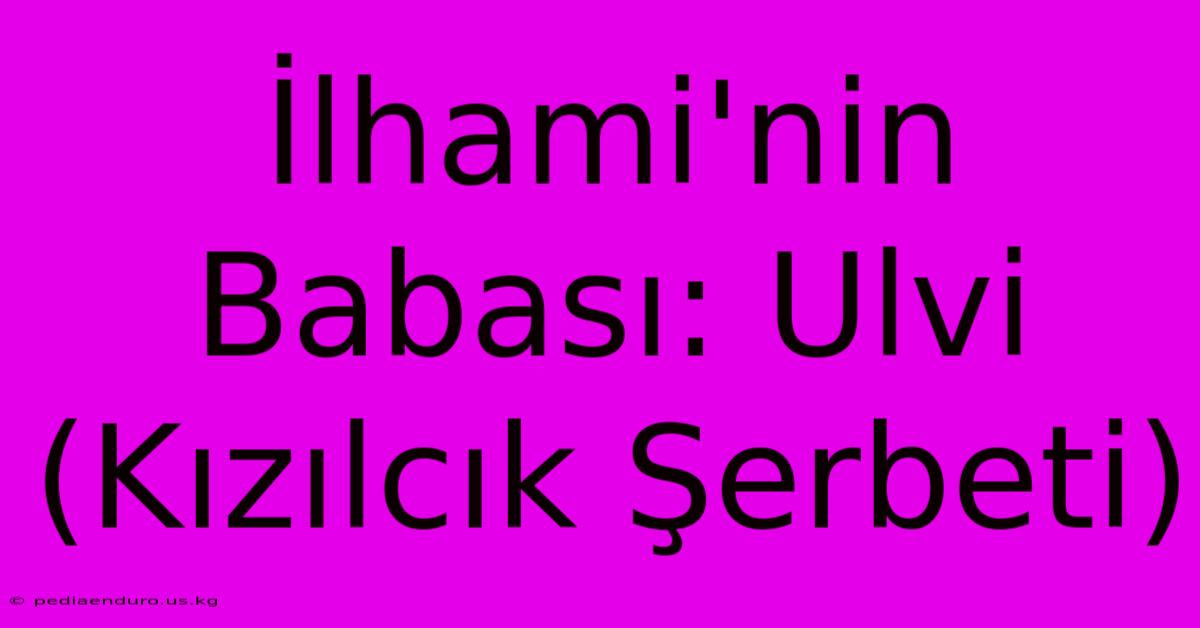 İlhami'nin Babası: Ulvi (Kızılcık Şerbeti)