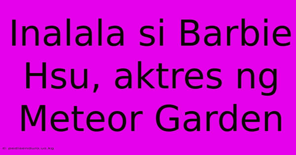 Inalala Si Barbie Hsu, Aktres Ng Meteor Garden