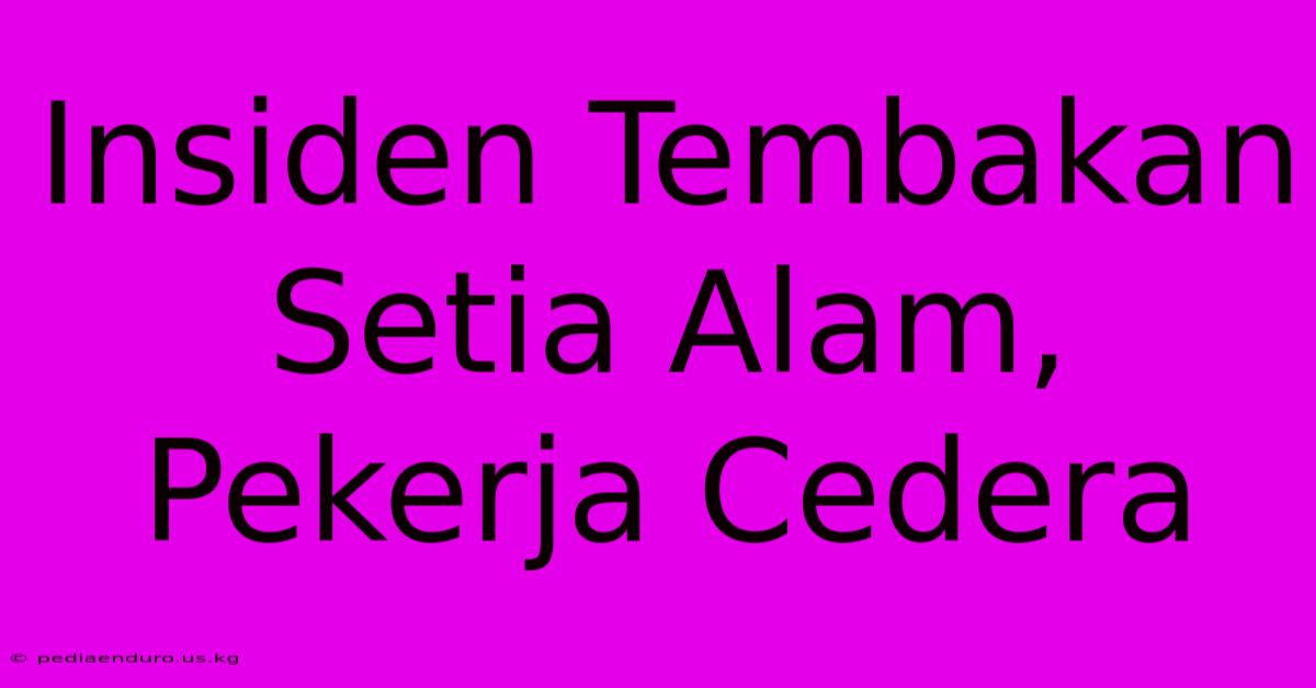 Insiden Tembakan Setia Alam, Pekerja Cedera