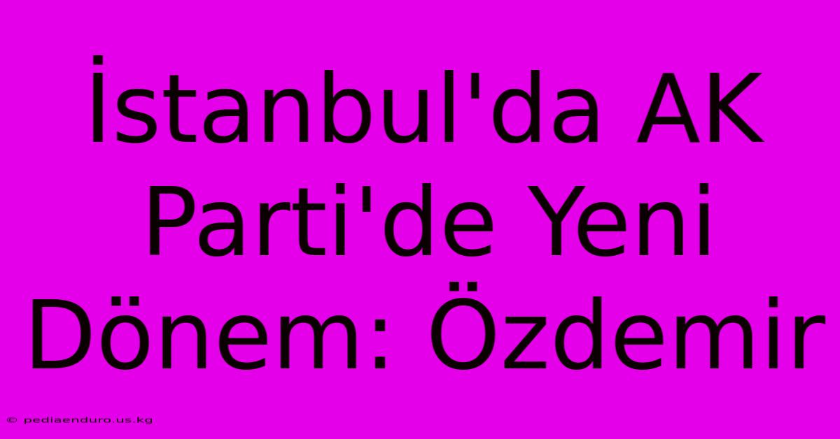 İstanbul'da AK Parti'de Yeni Dönem: Özdemir