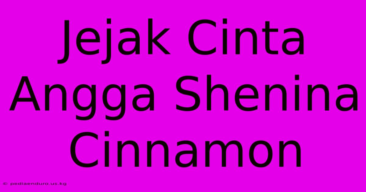 Jejak Cinta Angga Shenina Cinnamon