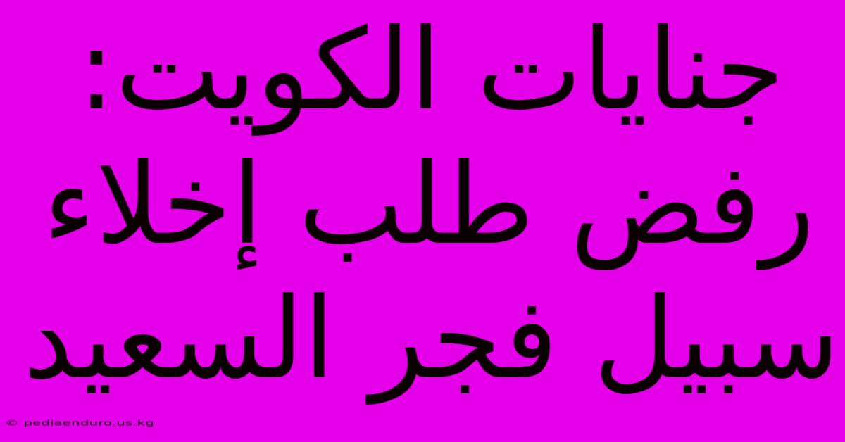 جنايات الكويت:  رفض طلب إخلاء سبيل فجر السعيد