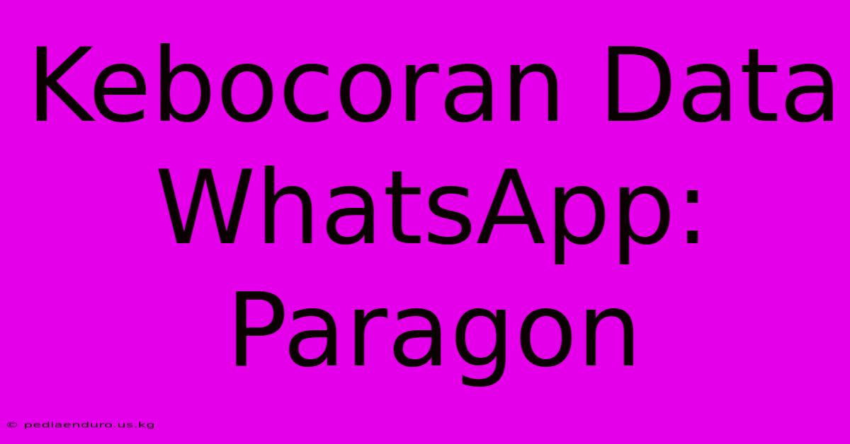 Kebocoran Data WhatsApp: Paragon