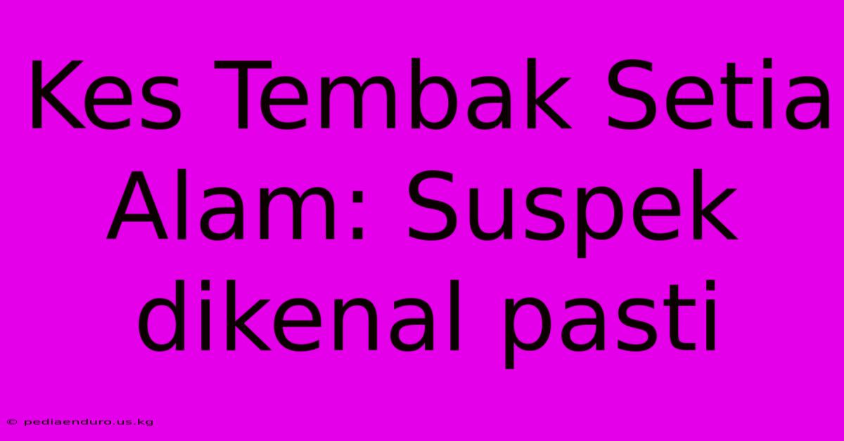 Kes Tembak Setia Alam: Suspek Dikenal Pasti