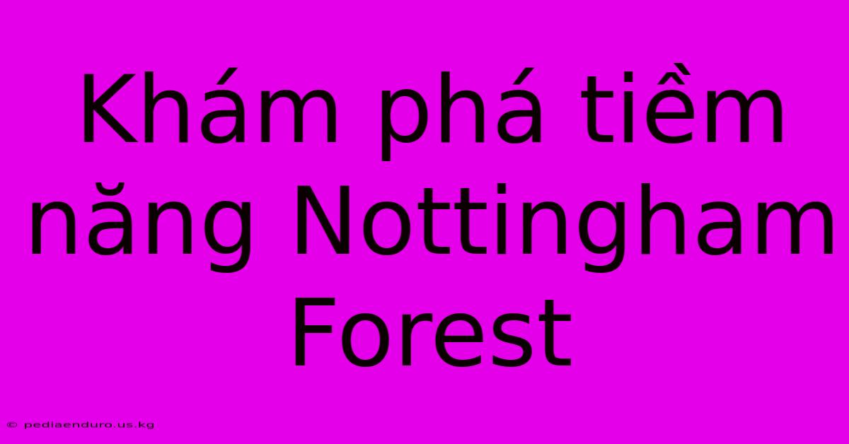 Khám Phá Tiềm Năng Nottingham Forest