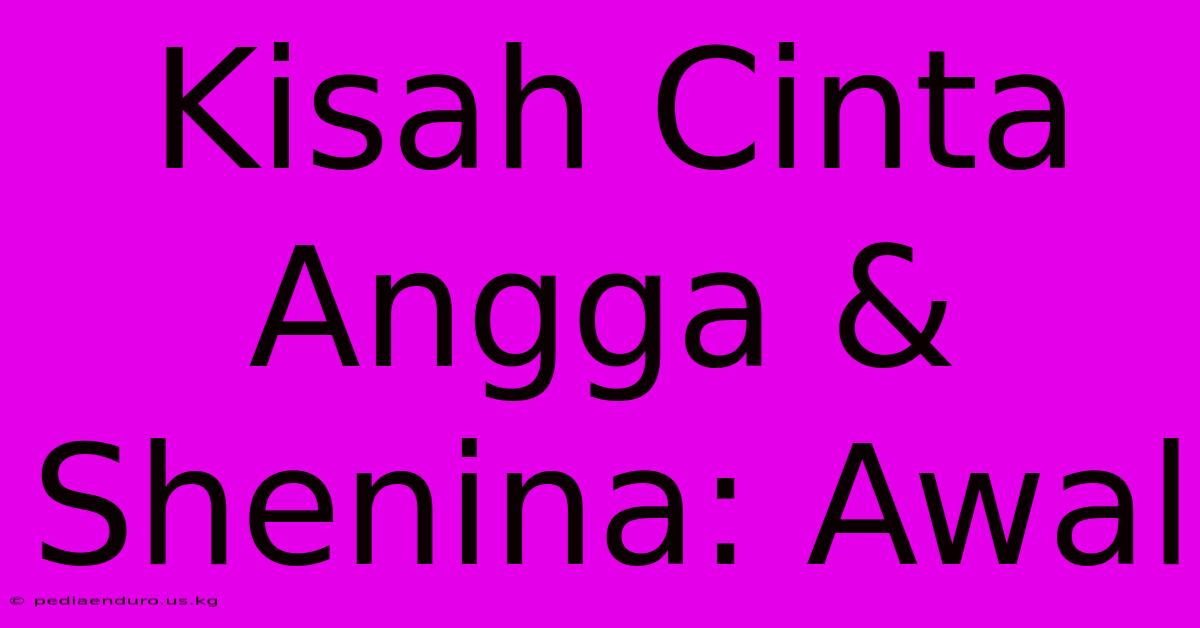 Kisah Cinta Angga & Shenina: Awal