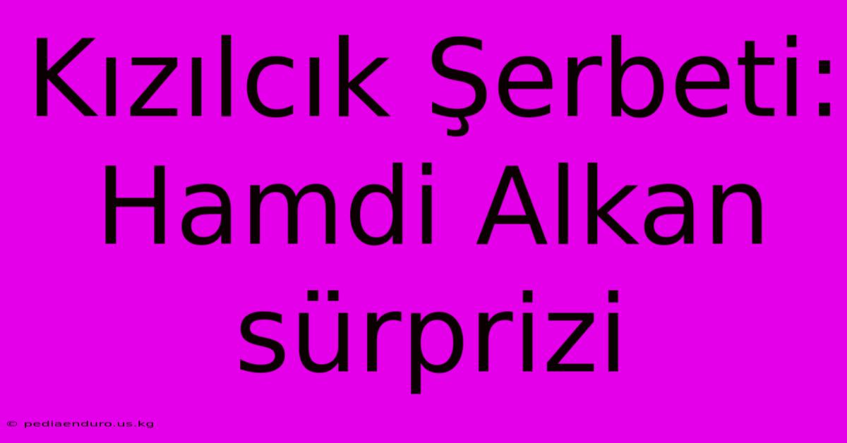 Kızılcık Şerbeti: Hamdi Alkan Sürprizi