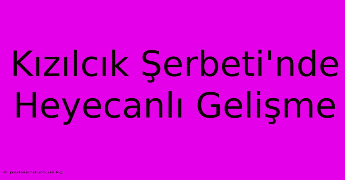 Kızılcık Şerbeti'nde Heyecanlı Gelişme