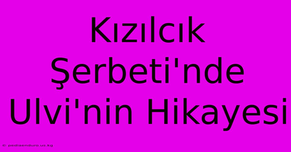 Kızılcık Şerbeti'nde Ulvi'nin Hikayesi