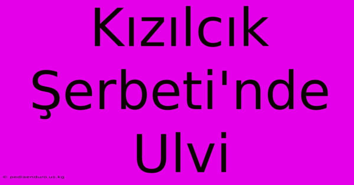 Kızılcık Şerbeti'nde Ulvi