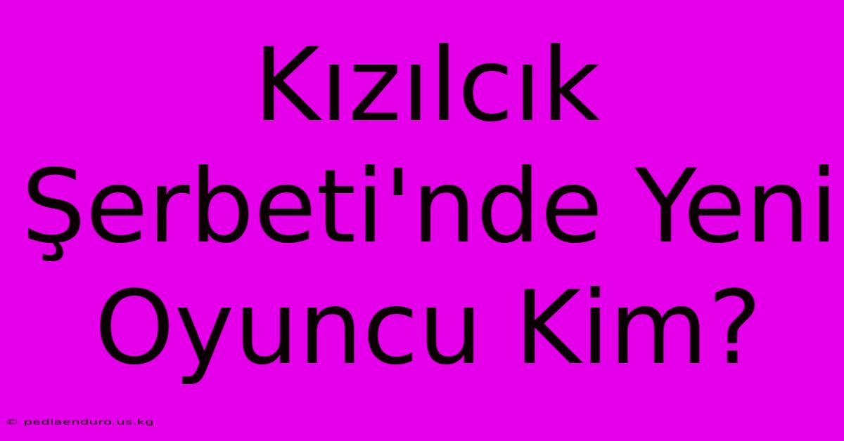 Kızılcık Şerbeti'nde Yeni Oyuncu Kim?