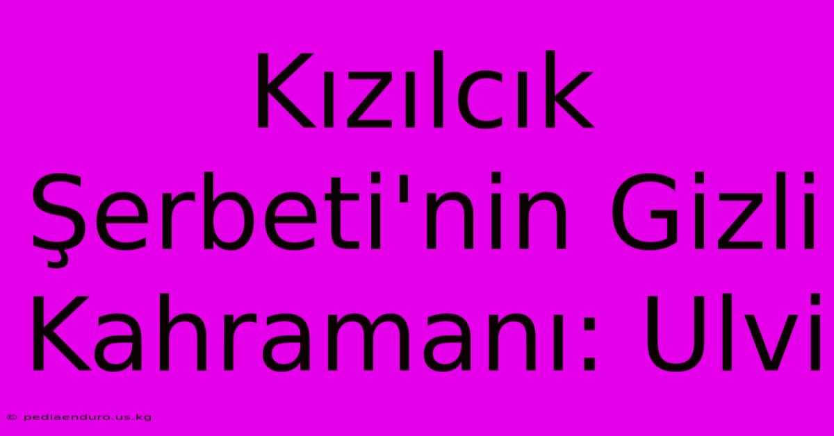 Kızılcık Şerbeti'nin Gizli Kahramanı: Ulvi