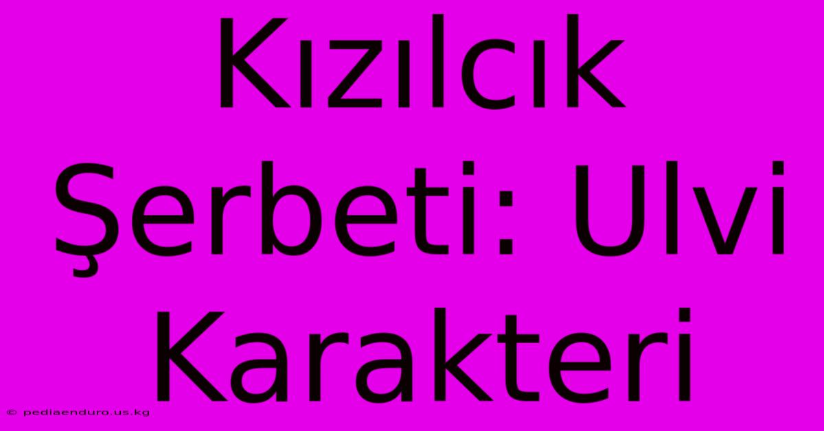 Kızılcık Şerbeti: Ulvi Karakteri