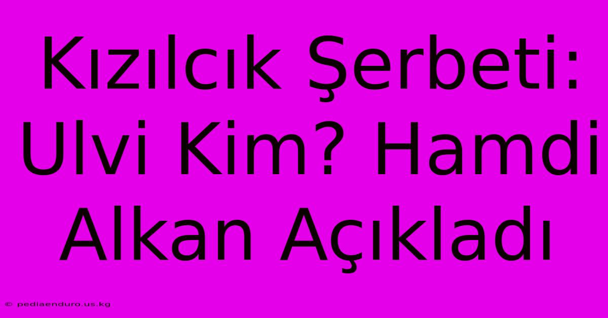 Kızılcık Şerbeti: Ulvi Kim? Hamdi Alkan Açıkladı