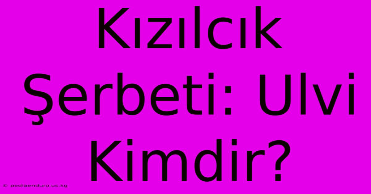 Kızılcık Şerbeti: Ulvi Kimdir?