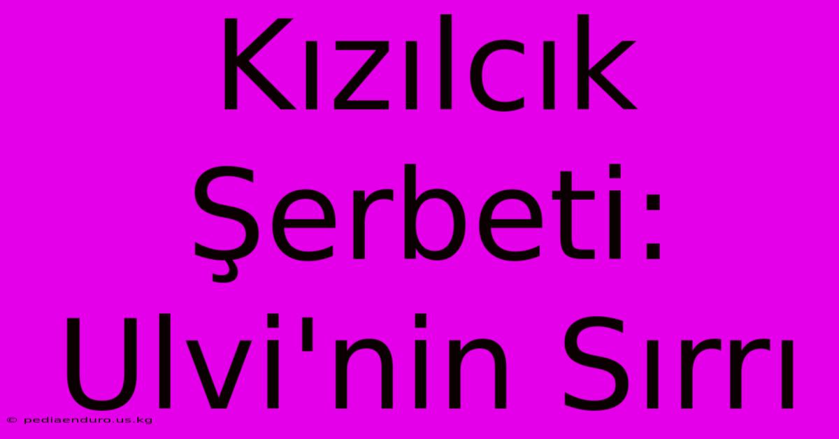 Kızılcık Şerbeti: Ulvi'nin Sırrı