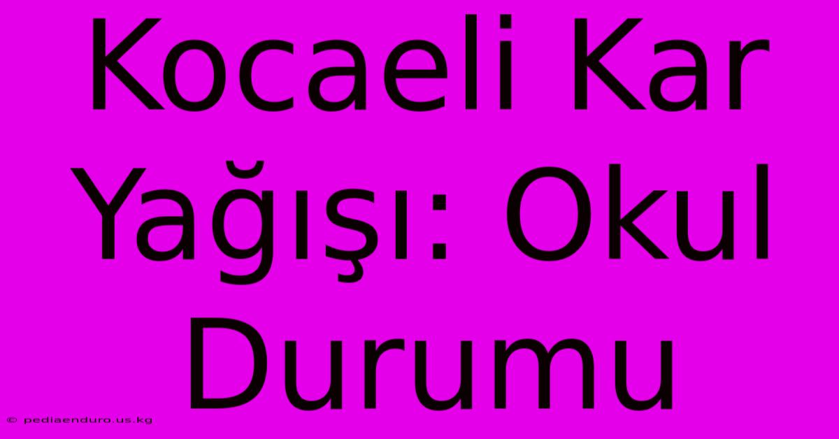 Kocaeli Kar Yağışı: Okul Durumu