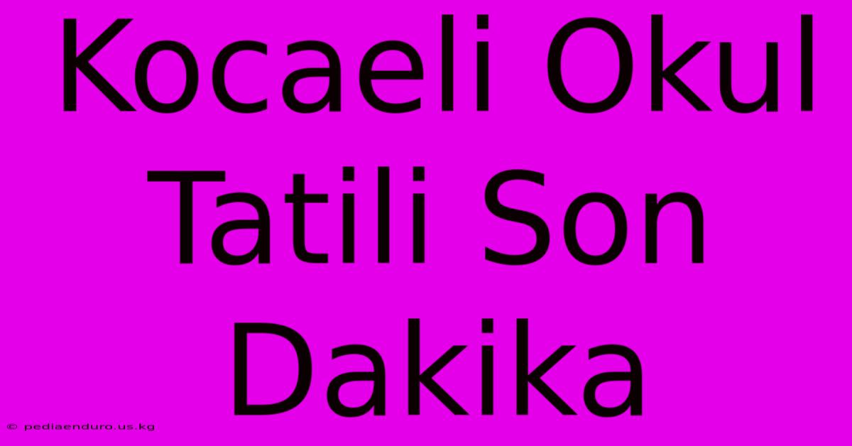 Kocaeli Okul Tatili Son Dakika